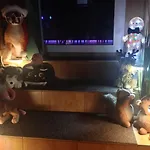 Quarto em Acomodações Particulares Aleksander