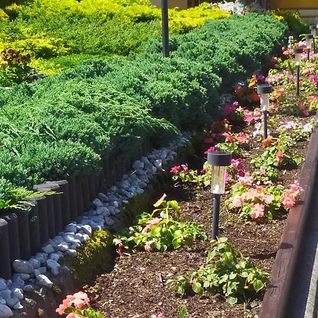 Проживание в семье Aleksander *