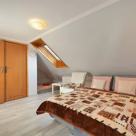 民宿 Aleksander 什切尔克