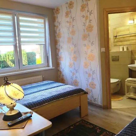 Aleksander Homestay *