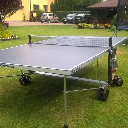 Проживание в семье Aleksander