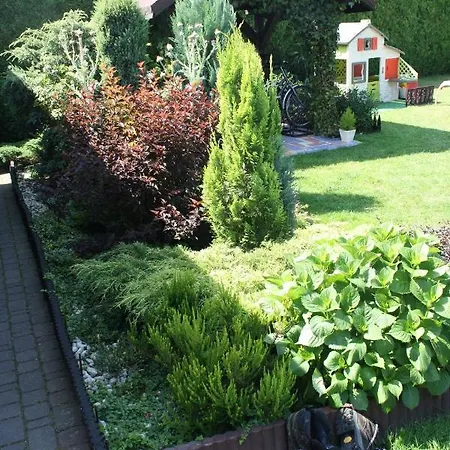 Homestay Aleksander *