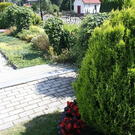 Aleksander Homestay *