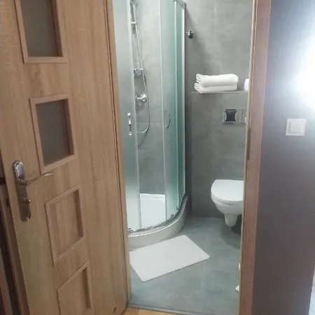 Aleksander Homestay *