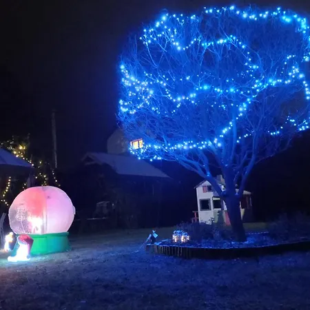 Проживание в семье Aleksander