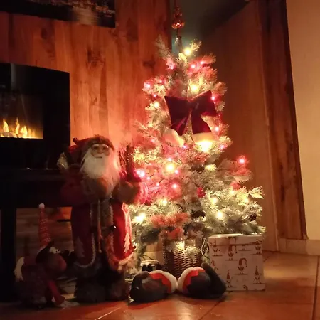 Проживание в семье Aleksander *