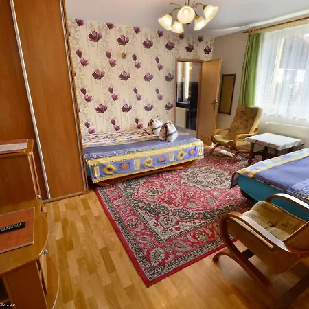 Aleksander Homestay *