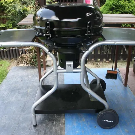 Aleksander * 什切尔克