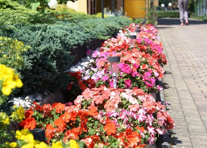 Aleksander Проживание в семье