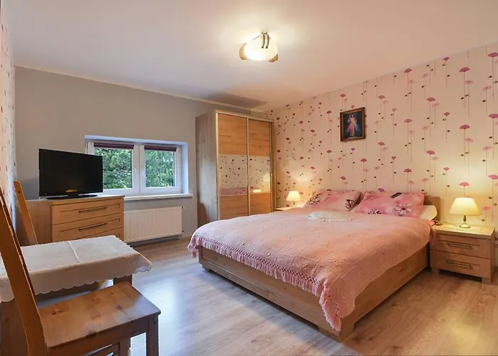 Aleksander * 슈차이르크