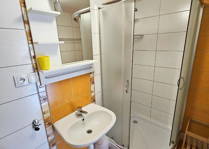 Проживание в семье Aleksander Щирк