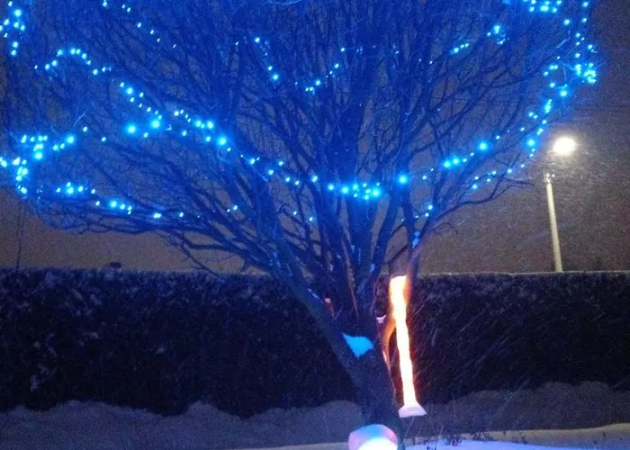 Aleksander 홈스테이 *