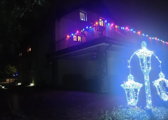 Aleksander 슈차이르크