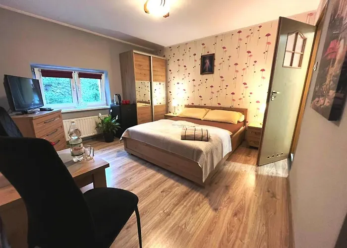 Aleksander 슈차이르크