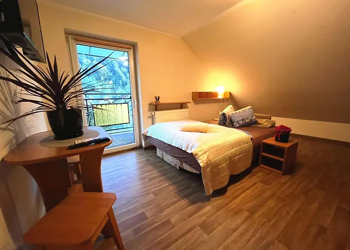 Aleksander Homestay *