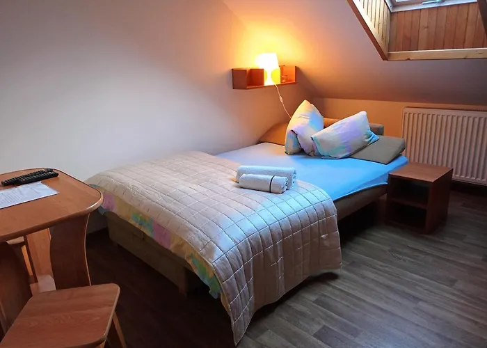 Aleksander Homestay *