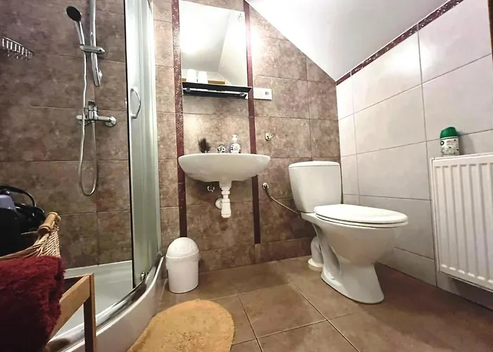 Aleksander 슈차이르크