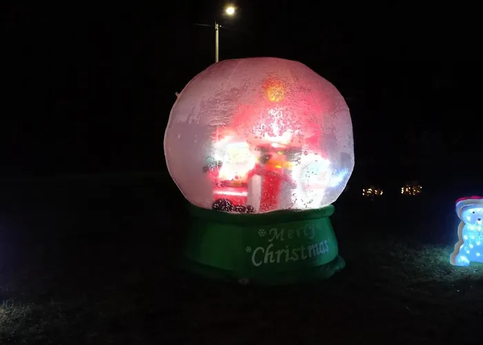 Aleksander * 슈차이르크