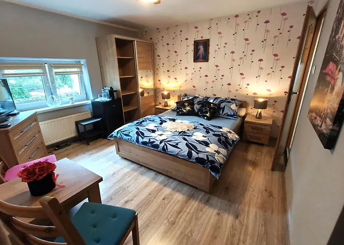 Aleksander * 슈차이르크